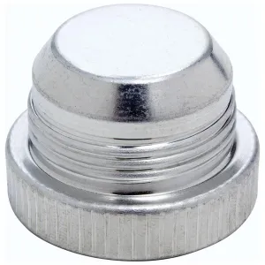 Allstar Performance AN Plug Fittings ALL50837