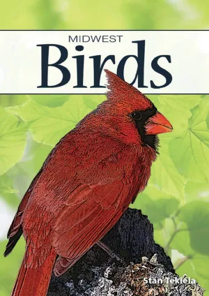 Birds of the Midwest Playing Cards