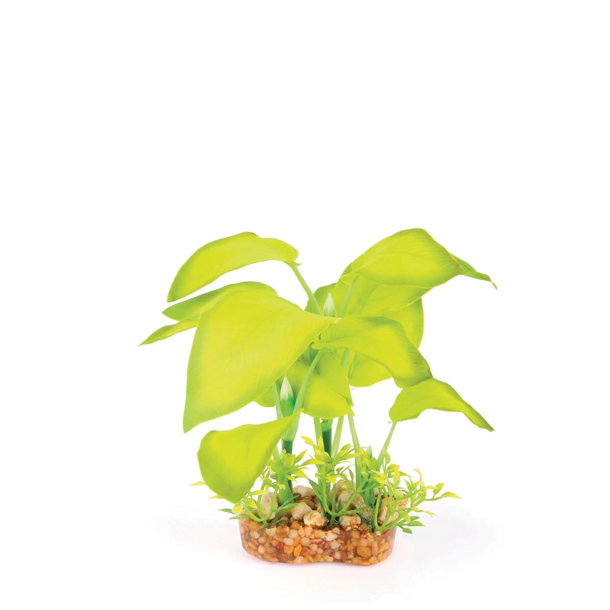 Kazoo Aquarium Artificial Plant Green Silk with Large Leaves 15cm