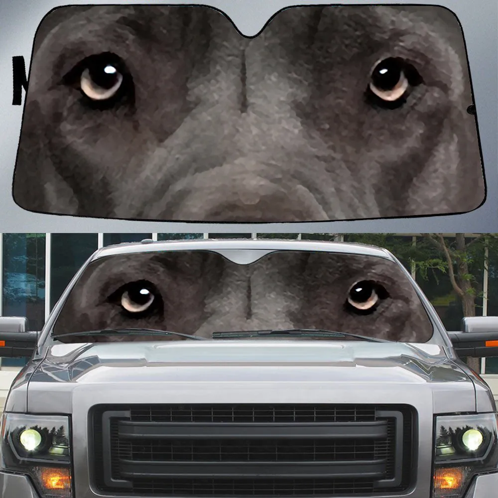 Weimaraner's Eyes Beautiful Dog Eyes Car Sun Shade Cover Auto Windshield